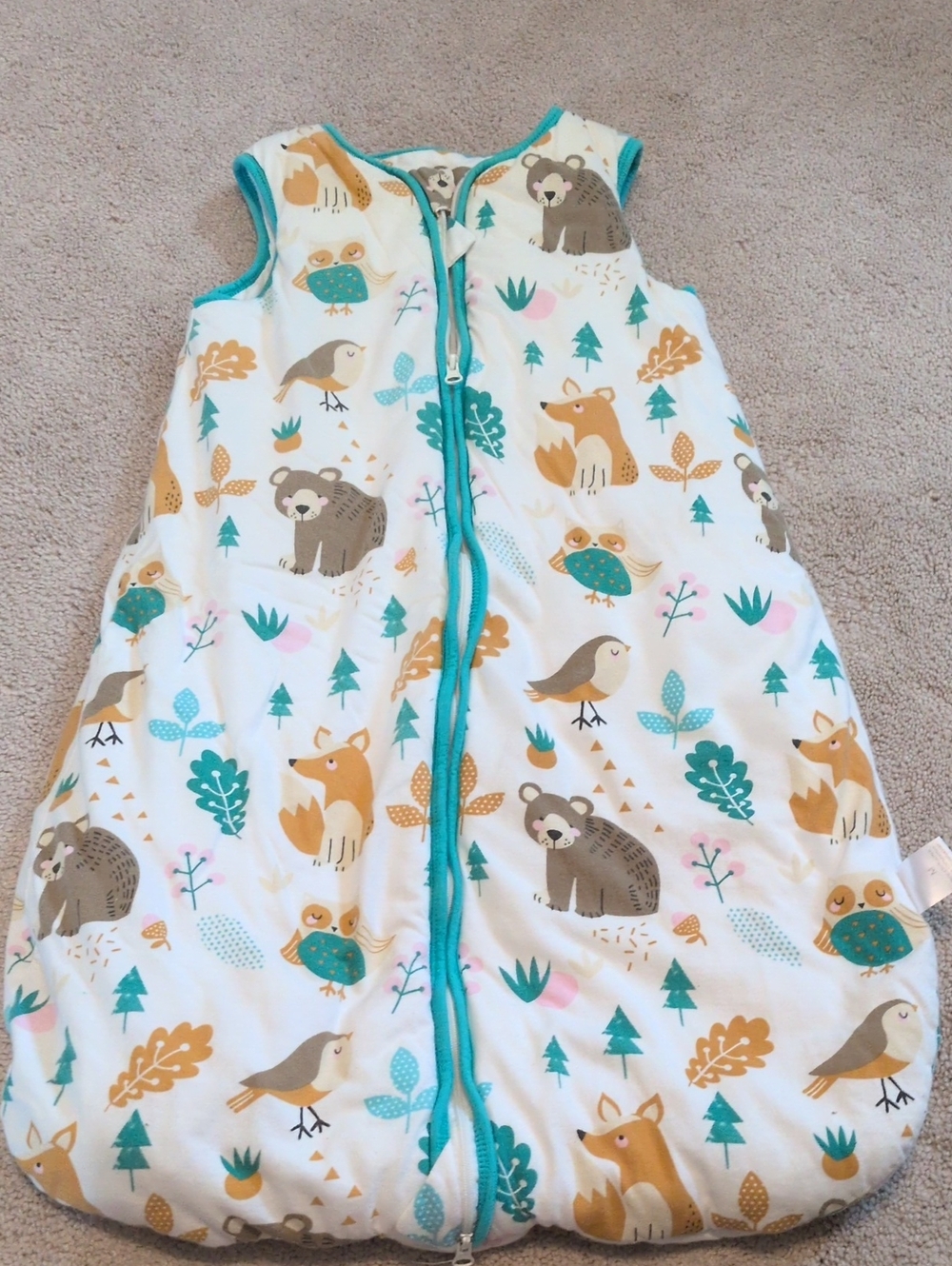 Cozy Forest Friends Kids Sleep Sack - Teal Trim (Size M)